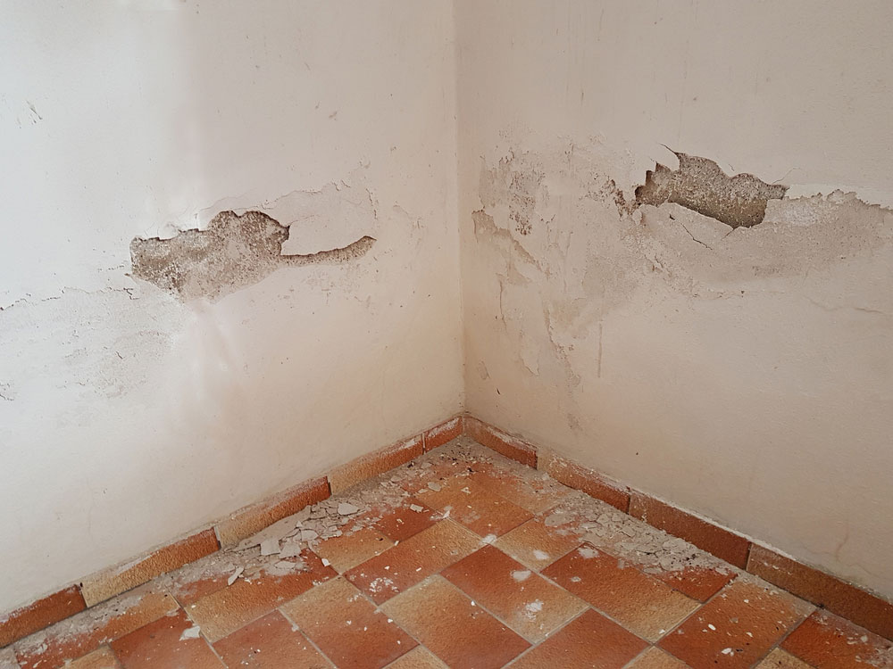 more water damage restoration